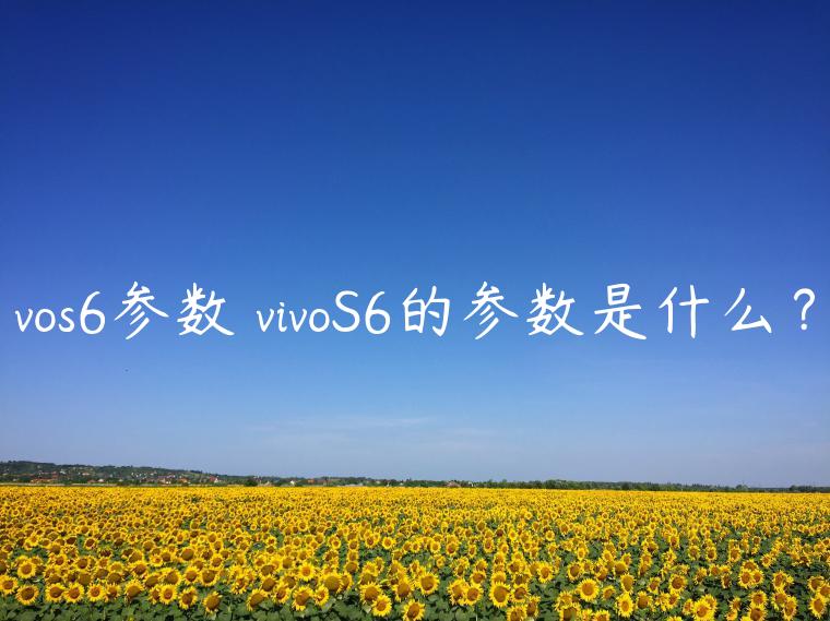 vos6参数 vivoS6的参数是什么？