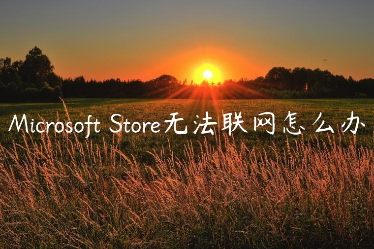 Microsoft Store无法联网怎么办