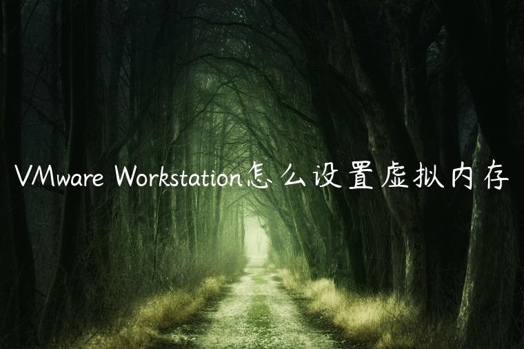 VMware Workstation怎么设置虚拟内存