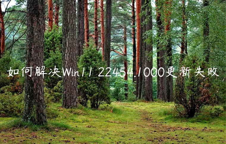 如何解决Win11 22454.1000更新失败