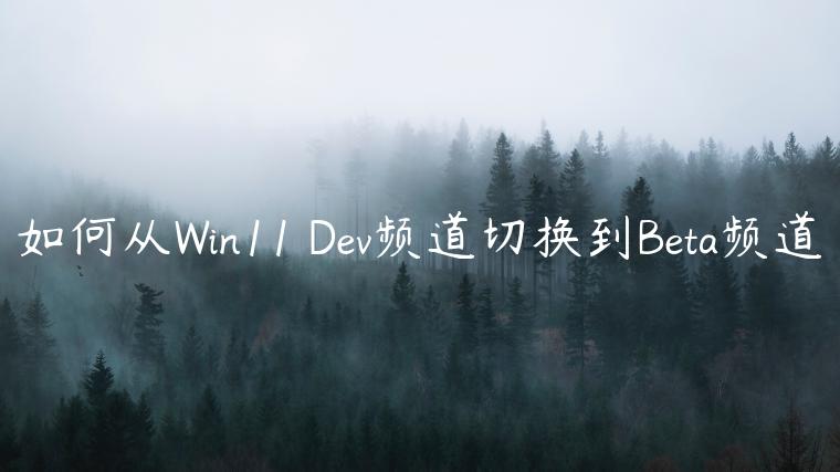 如何从Win11 Dev频道切换到Beta频道