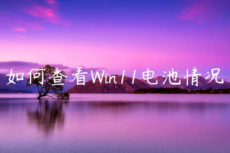 如何查看Win11电池情况