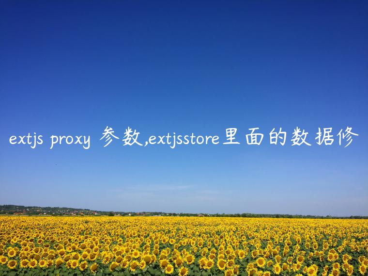 extjs proxy 参数,extjsstore里面的数据修