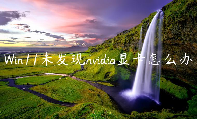 Win11未发现nvidia显卡怎么办