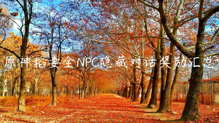 原神稻妻全NPC隐藏对话奖励汇总