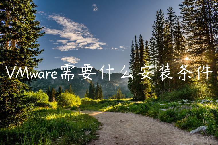 VMware需要什么安装条件