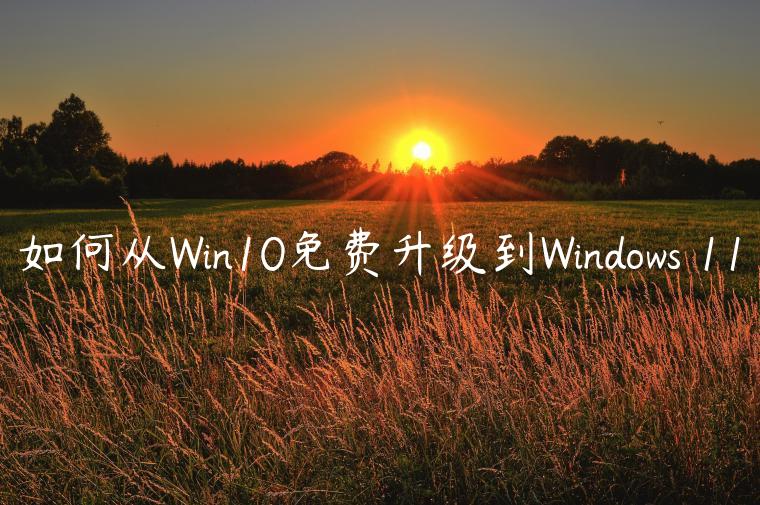 如何从Win10免费升级到Windows 11