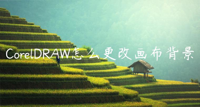 CorelDRAW怎么更改画布背景