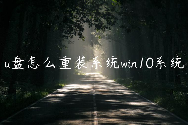 u盘怎么重装系统win10系统