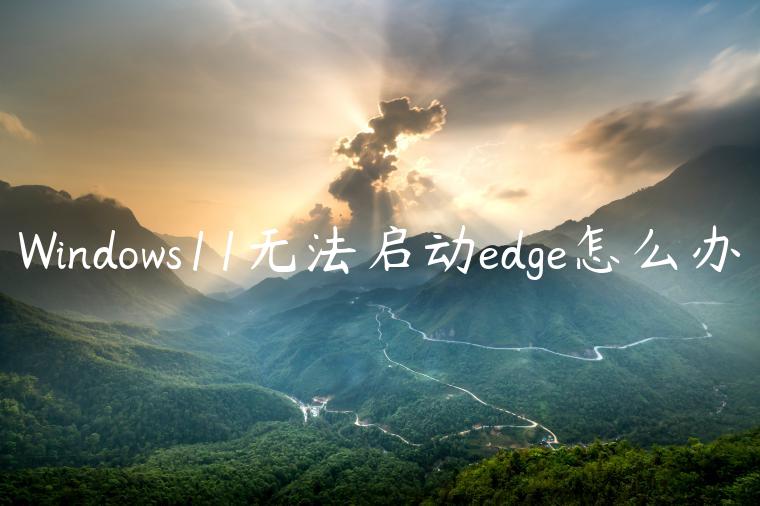 Windows11无法启动edge怎么办