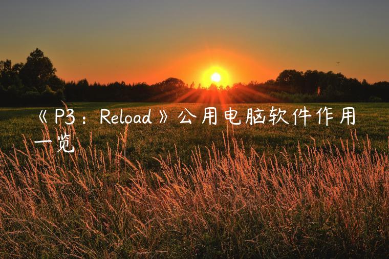 《P3：Reload》公用电脑软件作用一览