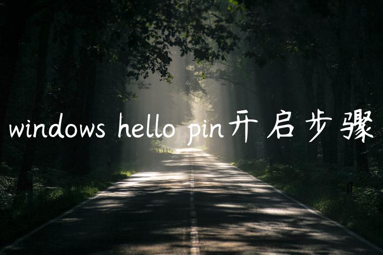 windows hello pin开启步骤