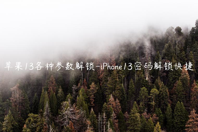 苹果13各种参数解锁-iPhone13密码解锁快捷