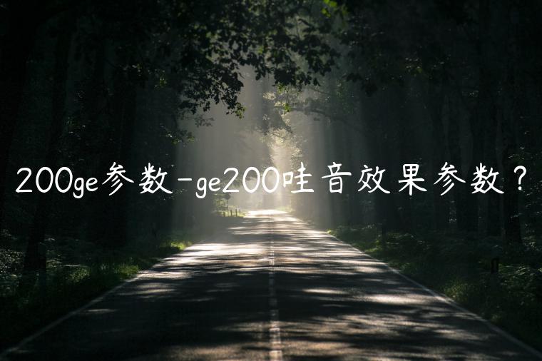 200ge参数-ge200哇音效果参数？