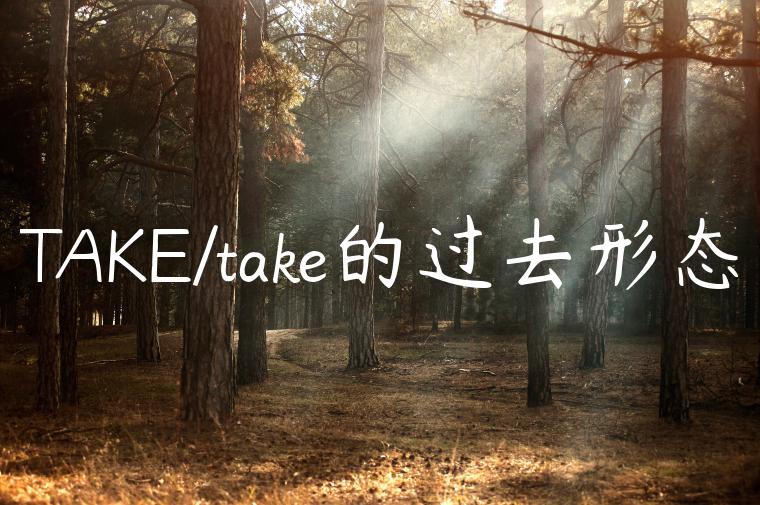 TAKE/take的过去形态