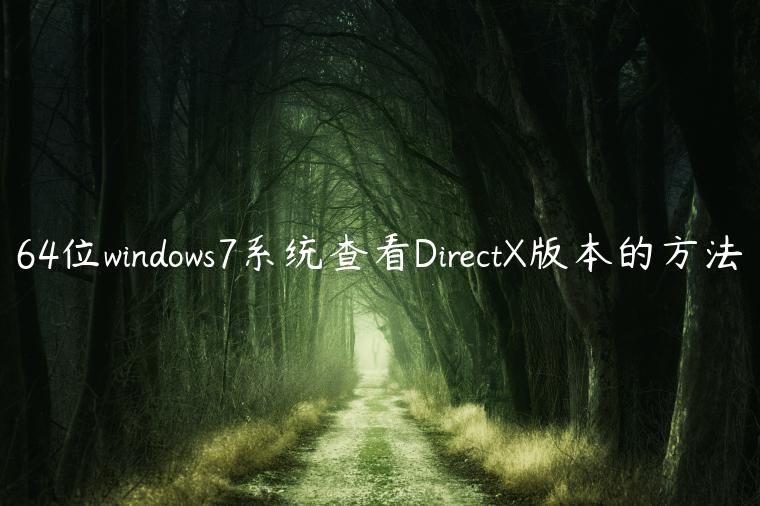 64位windows7系统查看DirectX版本的方法