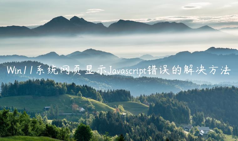 Win11系统网页显示Javascript错误的解决方法