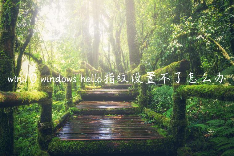 win10 windows hello指纹设置不了怎么办