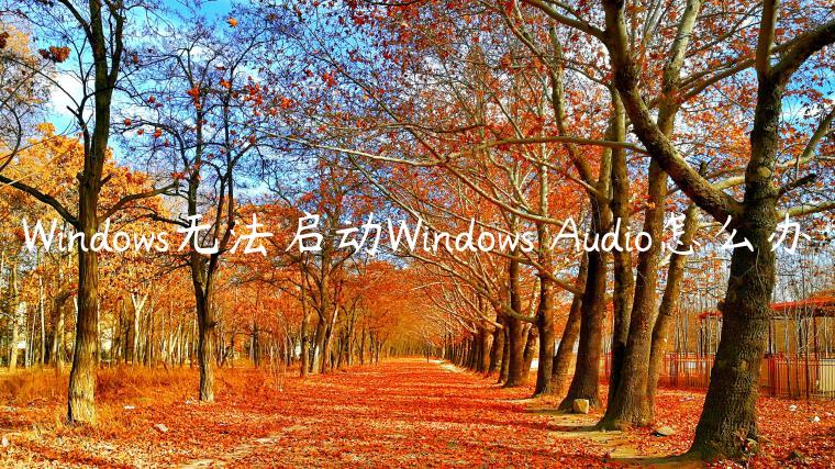 Windows无法启动Windows Audio怎么办