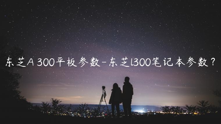 东芝A丅300平板参数-东芝l300笔记本参数？