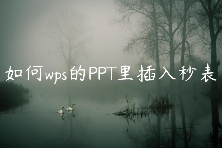 如何wps的PPT里插入秒表