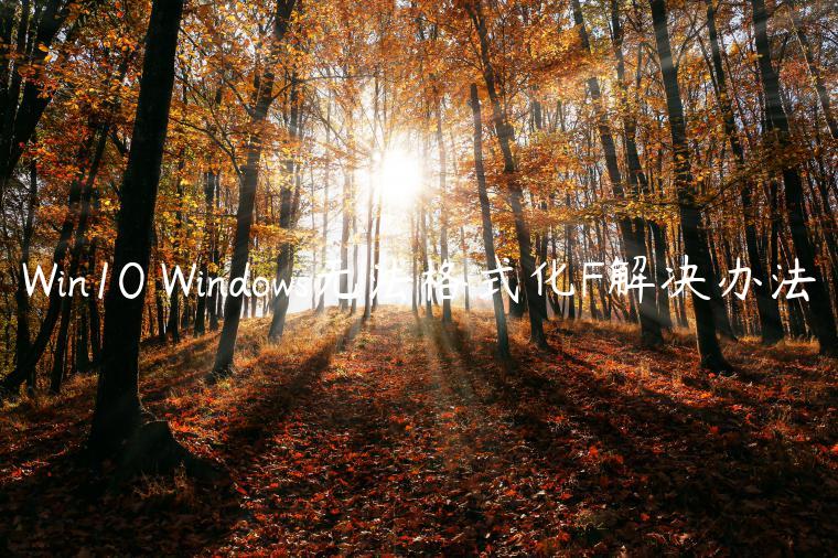 Win10 Windows无法格式化F解决办法