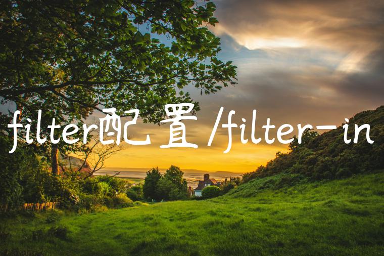 filter配置/filter-in