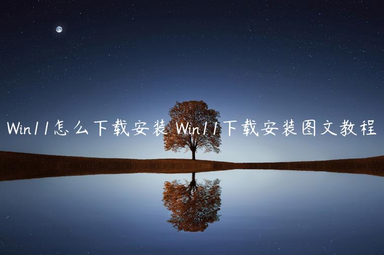 Win11怎么下载安装 Win11下载安装图文教程