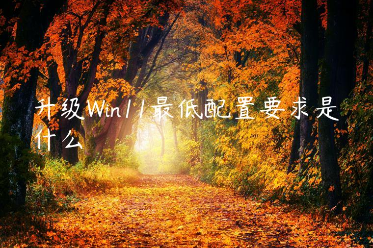 升级Win11最低配置要求是什么