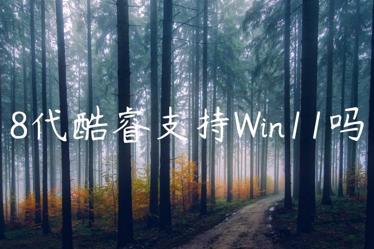 8代酷睿支持Win11吗