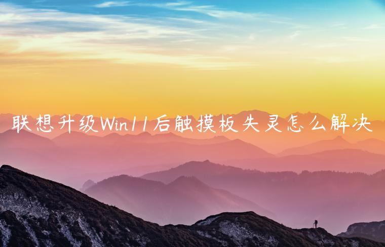 联想升级Win11后触摸板失灵怎么解决