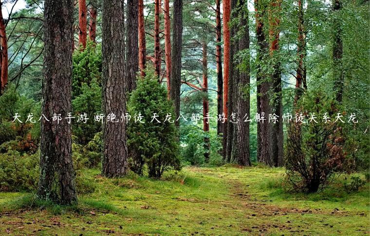 天龙八部手游 断绝师徒 天龙八部手游怎么解除师徒关系天龙