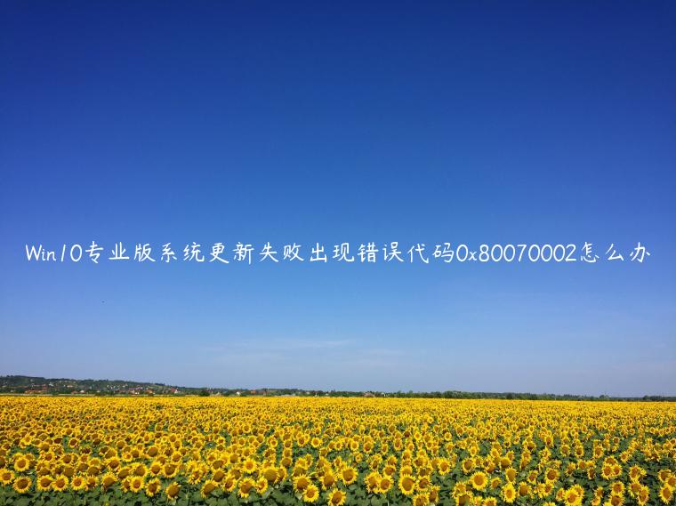 Win10专业版系统更新失败出现错误代码0x80070002怎么办