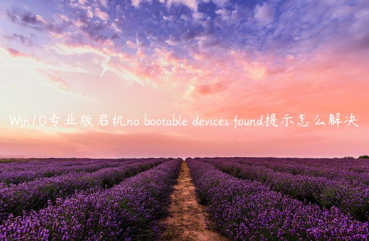 Win10专业版启机no bootable devices found提示怎么解决