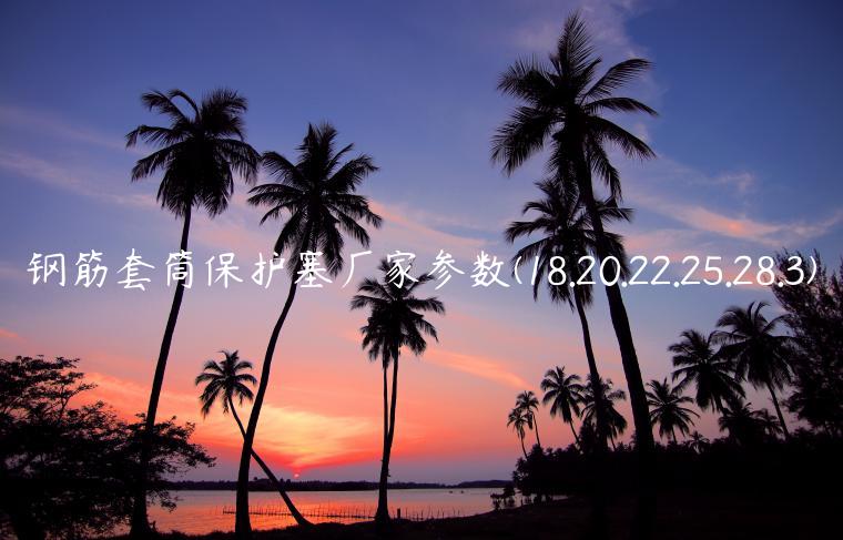 钢筋套筒保护塞厂家参数(18.20.22.25.28.3)