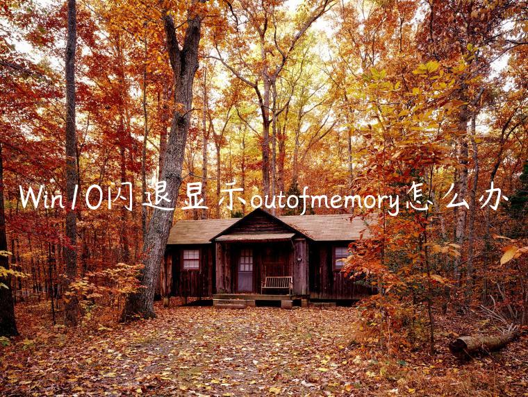 Win10闪退显示outofmemory怎么办