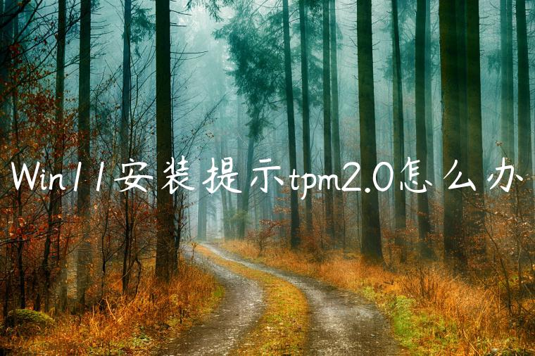 Win11安装提示tpm2.0怎么办