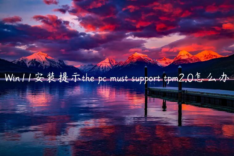 Win11安装提示the pc must support tpm2.0怎么办