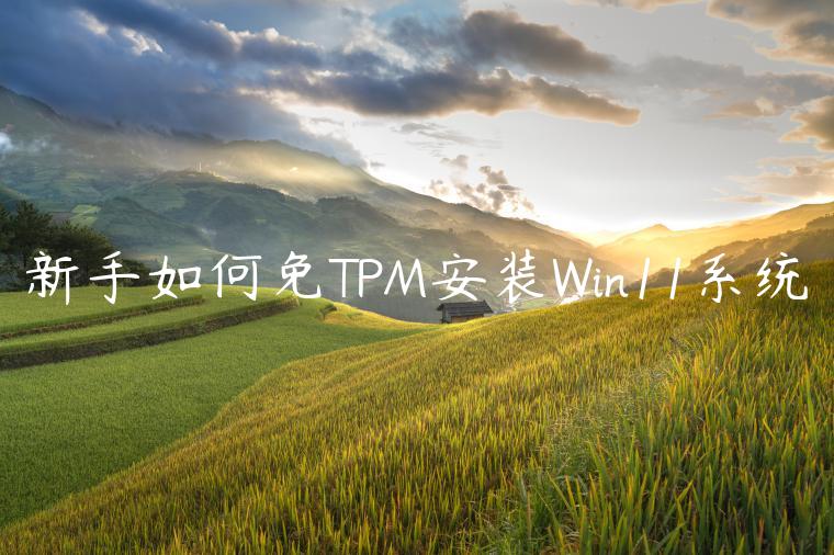 新手如何免TPM安装Win11系统